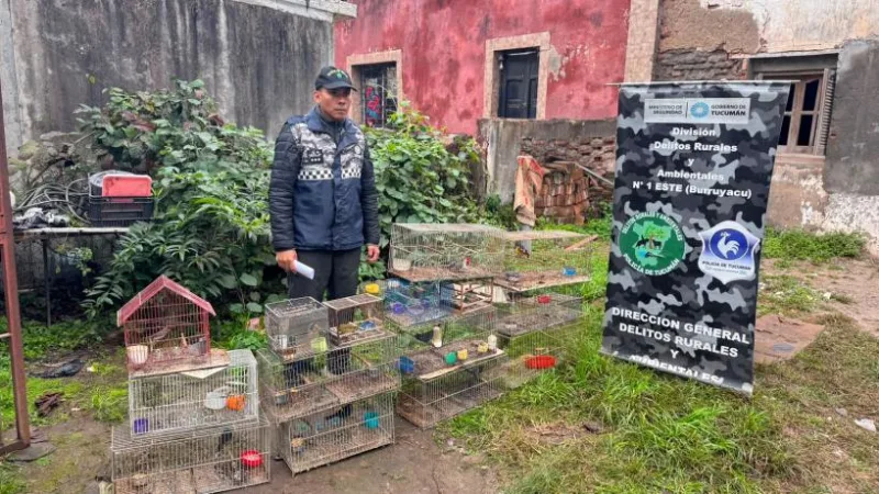 Rescatan 20 aves silvestres en cautiverio en San Andrés