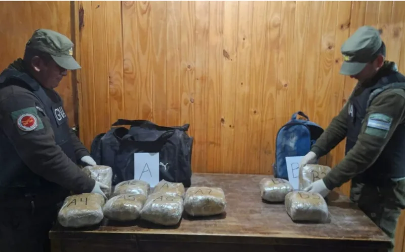 Secuestraron más de 10 kilos de marihuana en un operativo fronterizo en La Quiaca
