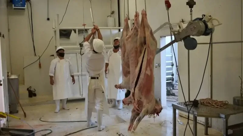 El consumo de carne cayó al nivel más bajo en dos décadas, mientras crecen las exportaciones