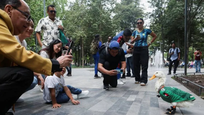 Merlín el pato: De las calles de la Ciudad de México a la fama en el Mundial