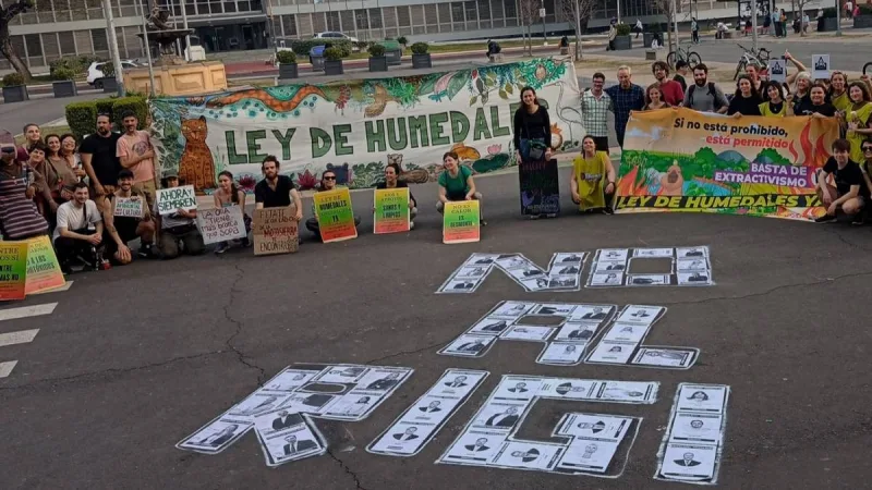 Del CELS a Greenpeace: el informe que destruye al super RIGI de Milei