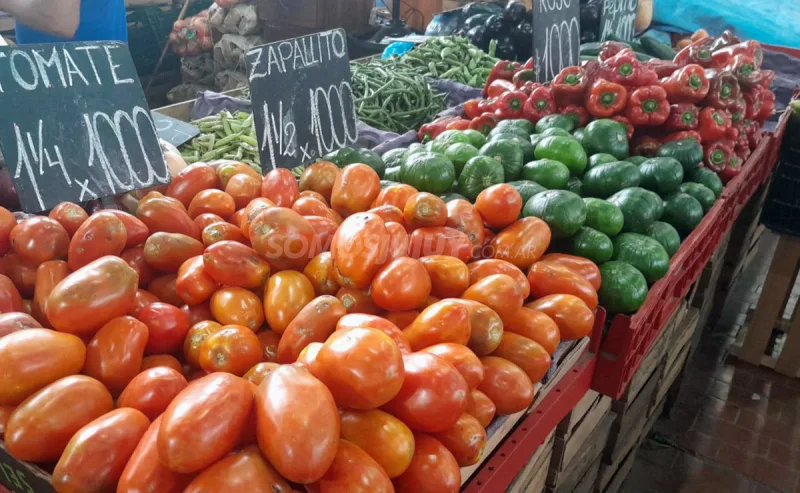 Bajó el tomate y el zapallito: cómo están los precios de las verduras en Jujuy